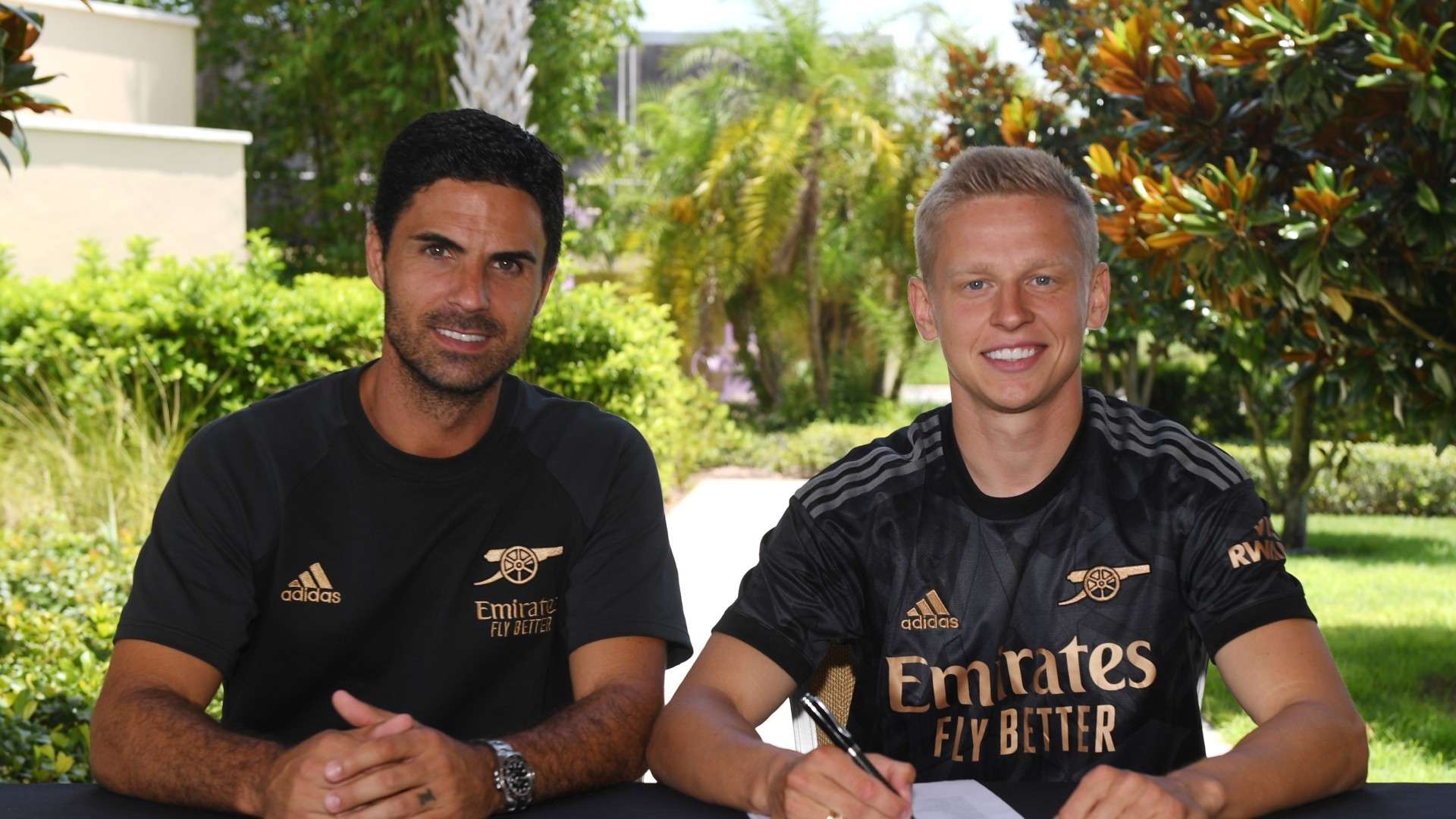 析每场比赛 析每场比赛